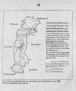 Inselhafte Waldverbreitung in der Ebenen-Gemeinde Michelstetten am Südrand der Steiner Alpen