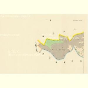 Borzikau (Borzikow) - c0417-1-001 - Kaiserpflichtexemplar der Landkarten des stabilen Katasters