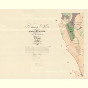 Dieditz (Diedice) - m0431-1-006 - Kaiserpflichtexemplar der Landkarten des stabilen Katasters