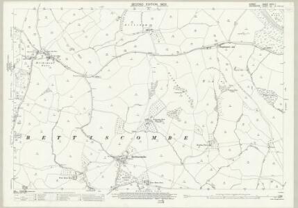 Dorset XXVIII.7 (includes: Bettiscombe; Broadwindsor; Pilson) - 25 Inch Map