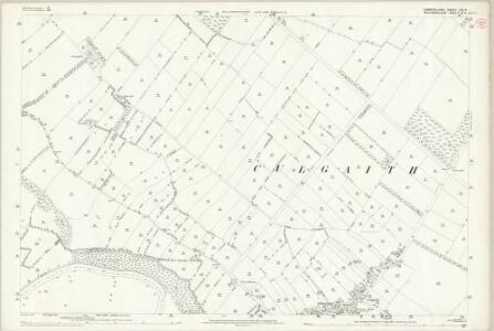 Cumberland LIX.4 (includes: Brougham) - 25 Inch Map