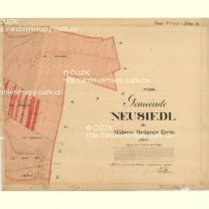 Nuesiedl - m2070-1-004 - Kaiserpflichtexemplar der Landkarten des stabilen Katasters