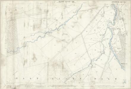 Northumberland (Old Series) CVII.6 (includes: Allendale Common; Allendale) - 25 Inch Map