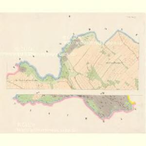 Neuhof (Nowy Dwory) - c5266-1-002 - Kaiserpflichtexemplar der Landkarten des stabilen Katasters