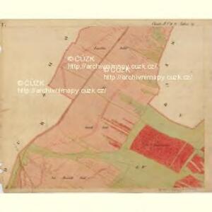 Nuesiedl - m2070-1-001 - Kaiserpflichtexemplar der Landkarten des stabilen Katasters