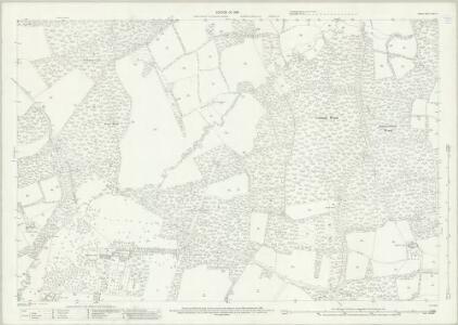 Surrey XXXIX.16 (includes: Ewhurst) - 25 Inch Map