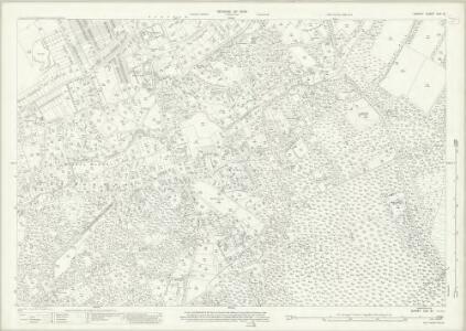 Surrey XXX.10 (includes: Farnham) - 25 Inch Map