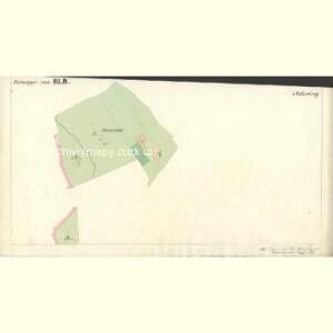 Mitterberg - c6304-2-005 - Kaiserpflichtexemplar der Landkarten des stabilen Katasters