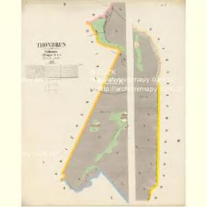 Thonbrun - c7496-3-002 - Kaiserpflichtexemplar der Landkarten des stabilen Katasters