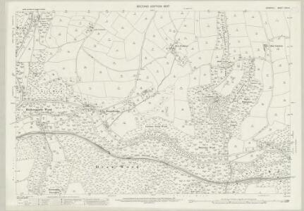 Cornwall XXXV.6 (includes: Broadoak; St Neot; St Pinnock) - 25 Inch Map