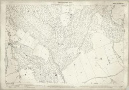 Sussex X.11 (includes: Fernhurst; Linch) - 25 Inch Map