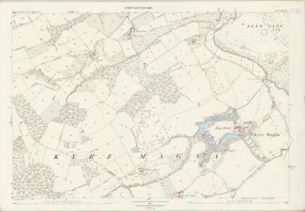 Worcestershire XIX.14 (includes: Bockleton; Kyre; Stoke Bliss; Tenbury) - 25 Inch Map