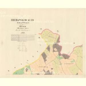 Herzogwald (Hrczywald) - m1501-2-001 - Kaiserpflichtexemplar der Landkarten des stabilen Katasters
