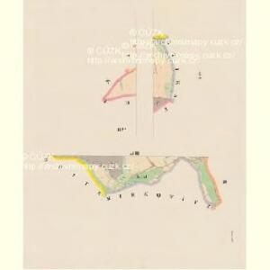 Roiau - c6416-1-004 - Kaiserpflichtexemplar der Landkarten des stabilen Katasters