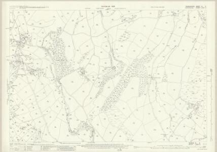 Radnorshire XI.5 (includes: Bugeildy; Llanfair Waterdine) - 25 Inch Map
