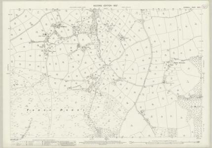 Cornwall XXXV.1 (includes: Cardinham; St Neot; Warleggan) - 25 Inch Map