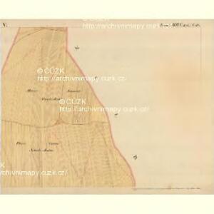 Mitzmanns - m1778-1-005 - Kaiserpflichtexemplar der Landkarten des stabilen Katasters