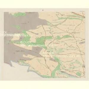 Netschin (Neczin) - c4989-1-003 - Kaiserpflichtexemplar der Landkarten des stabilen Katasters