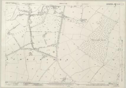 Buckinghamshire VII.16 (includes: Biddlesden) - 25 Inch Map