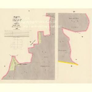 Pleyl - c0916-2-005 - Kaiserpflichtexemplar der Landkarten des stabilen Katasters