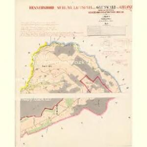 Grünwald - c4889-1-001 - Kaiserpflichtexemplar der Landkarten des stabilen Katasters