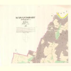 Schwannsdorf (Swatanowice) - m2971-1-001 - Kaiserpflichtexemplar der Landkarten des stabilen Katasters