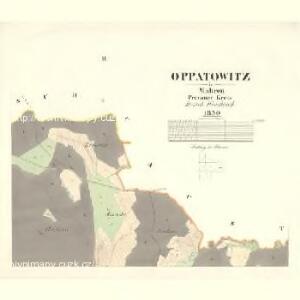 Oppatowitz - m2150-1-002 - Kaiserpflichtexemplar der Landkarten des stabilen Katasters