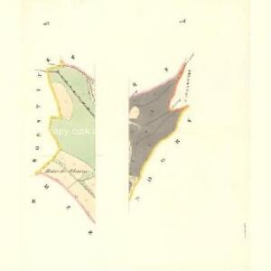 Petruwka - m2273-1-002 - Kaiserpflichtexemplar der Landkarten des stabilen Katasters