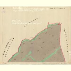 Trschitz - m3142-1-001 - Kaiserpflichtexemplar der Landkarten des stabilen Katasters