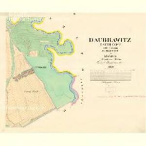 Daubrawitz (Daubrawice) - m0563-1-002 - Kaiserpflichtexemplar der Landkarten des stabilen Katasters