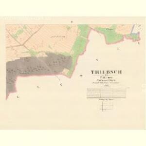 Triebsch - c8013-1-005 - Kaiserpflichtexemplar der Landkarten des stabilen Katasters