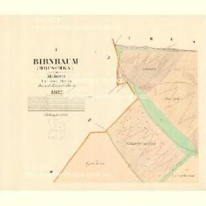 Birnbaum (Hruschka) - m0917-1-001 - Kaiserpflichtexemplar der Landkarten des stabilen Katasters