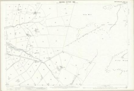 Northumberland (Old Series) CII.11 (includes: Allendale Common; Allendale) - 25 Inch Map