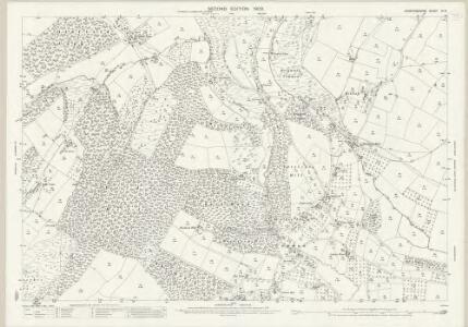 Herefordshire VII.6 (includes: Aymestrey; Orleton; Richards Castle) - 25 Inch Map