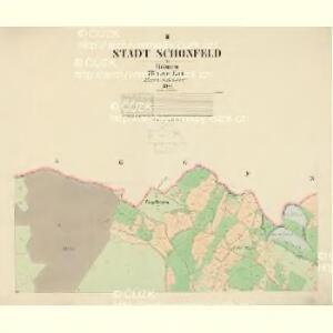 Schönfeld - c3527-2-002 - Kaiserpflichtexemplar der Landkarten des stabilen Katasters