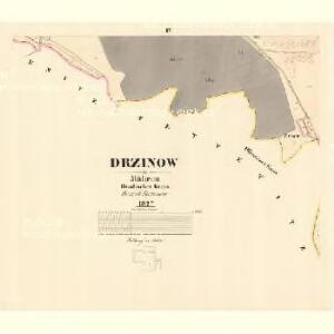 Drzinow - m0593-1-003 - Kaiserpflichtexemplar der Landkarten des stabilen Katasters