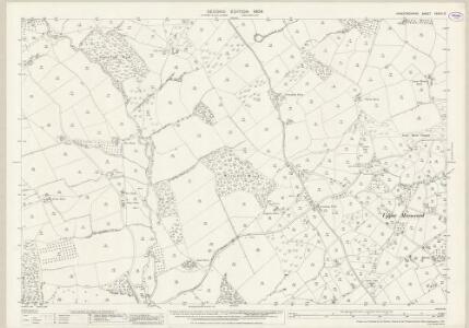 Herefordshire XXXVII.12 (includes: Michaelchurch Escley; St Margarets) - 25 Inch Map