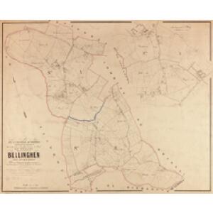 Plan parcellaire de la commune de Bellinghen : avec les mutations