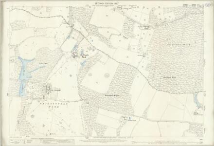 Surrey XLV.11 (includes: Chiddingfold; Plaistow) - 25 Inch Map