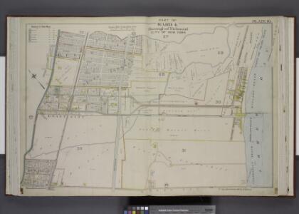 Part of Ward 4. [Map bound by Jackson Ave, Lower Bay, New Dorp Lane, Richmond Road]