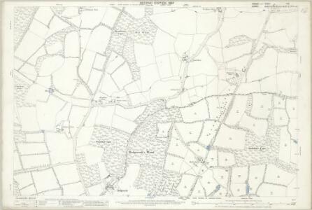 Sussex II.10 (includes: Abinger; Ockley; Rudgwick; Warnham) - 25 Inch Map
