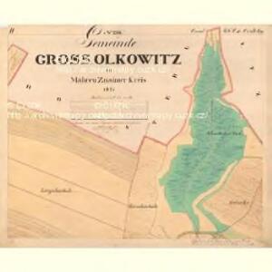 Gross Olkowitz - m2130-1-002 - Kaiserpflichtexemplar der Landkarten des stabilen Katasters