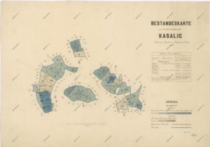 Porostní mapa revíru Kasalice