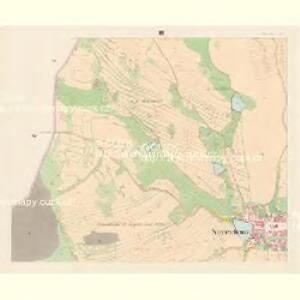 Neureichenau - c5320-1-002 - Kaiserpflichtexemplar der Landkarten des stabilen Katasters