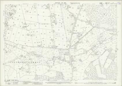 Surrey XLII.10 (includes: Burstow; Horne; Worth) - 25 Inch Map