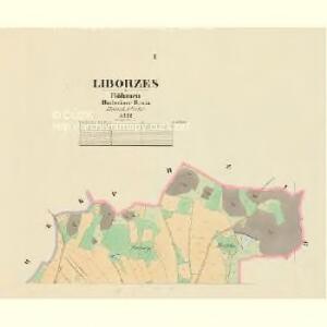 Liborzes - c4042-1-001 - Kaiserpflichtexemplar der Landkarten des stabilen Katasters