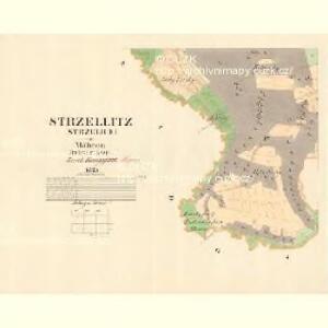 Strzellitz (Strzelice) - m2908-1-004 - Kaiserpflichtexemplar der Landkarten des stabilen Katasters