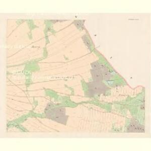 Nischkau (Nisskow) - c5179-1-005 - Kaiserpflichtexemplar der Landkarten des stabilen Katasters