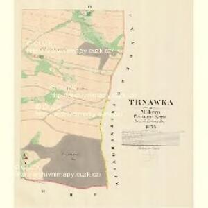 Trnawka - m3132-1-003 - Kaiserpflichtexemplar der Landkarten des stabilen Katasters