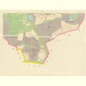 Buchau (Buchawa) - c0329-1-009 - Kaiserpflichtexemplar der Landkarten des stabilen Katasters
